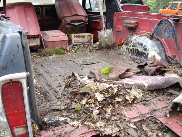 Muddy rusted truck bed full of leaves and debris in a junkyard