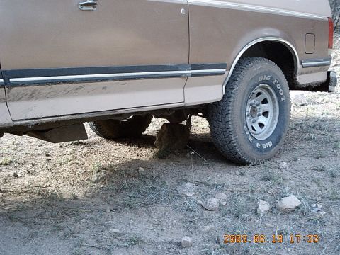 1989 Ford Bronco - Went camping by Lake Roberts then went exploring drove to the end of a road and went to turn around and backed into a rock perfect to get h…
