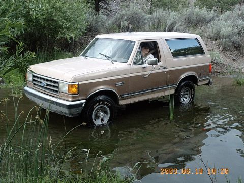 1989 Ford Bronco - North of Lake Roberts driving though the stream my wife Amber driving