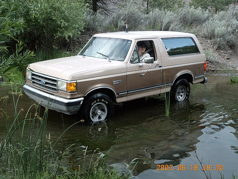 Tan Ford Bronco driving through deep water in a brushy creek crossing, driver at the wheel