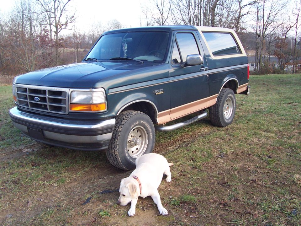 1984 Ford Bronco