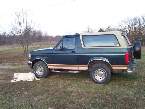 1984 Ford Bronco - A side view of a dark green Ford Bronco with tan accents, parked outdoors next to a yellow Labrador Retriever.