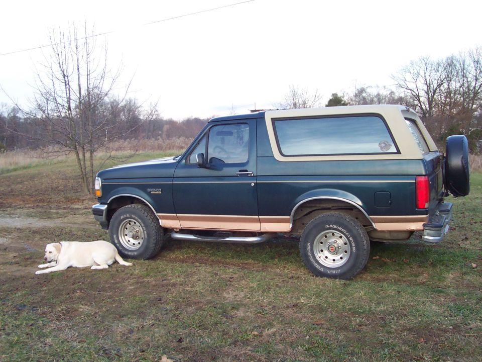 Dark green Ford Bronco with tan trim and a tan removable top, parked on grass with a yellow lab lying nearby