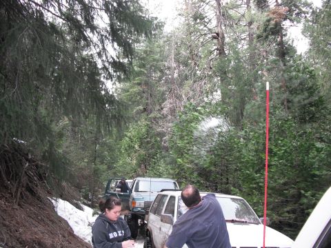 1991 Ford Bronco - Several off-road vehicles are parked on a snowy trail in a dense forest, with people standing nearby.