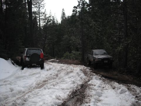 1991 Ford Bronco - Two trucks navigate a snow-covered and muddy path through a dense forest.