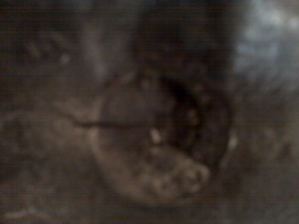 Dark, blurry close-up of an unidentifiable round mechanical component on a 1983 Ford Bronco