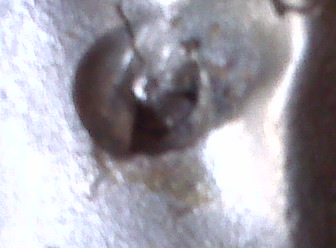 1983 Ford Bronco - another view of chipped plug weld