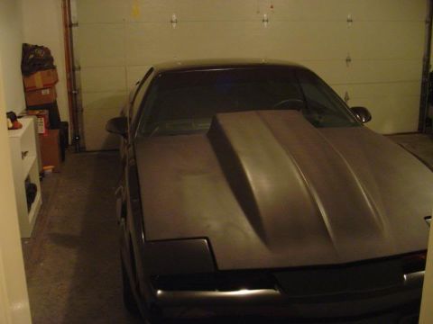 1989 Pontiac Firebird photo