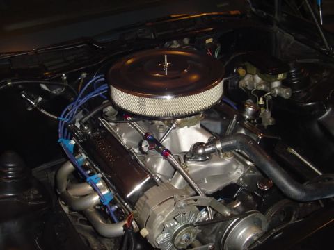 1989 Pontiac Firebird photo