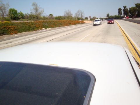 1995 Ford Taurus - Driving on a sunny day on the highway, with other cars visible ahead.