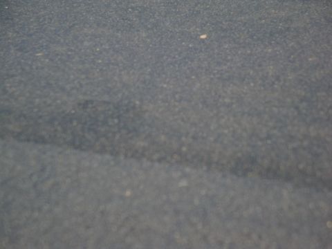 1995 Ford Taurus - The image shows a dark, textured surface with some small specks visible.