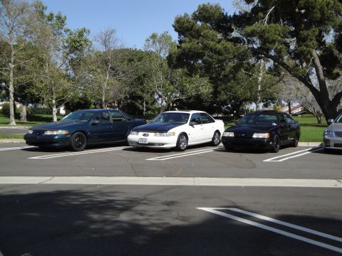 1995 Ford Taurus - Three sedans are parked in a lot, including a white 1995 Ford Taurus with a black hood.