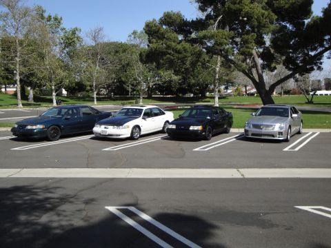 1995 Ford Taurus - Four sedans are parked in a lot on a sunny day.