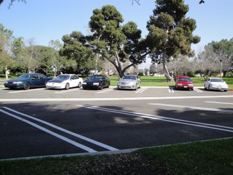 1995 Ford Taurus - A row of sedans are parked in a lot on a sunny day.