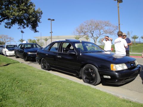 1995 Ford Taurus - A line of sedans, including a black 1995 Ford Taurus, are parked on a sunny day.