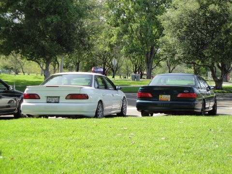 1995 Ford Taurus - Two Ford Taurus sedans, a white and a dark green model, are parked side-by-side on a grassy area.