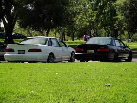 1995 Ford Taurus - Two Ford Taurus sedans, a white one and a black one, are parked on a grassy area near trees.