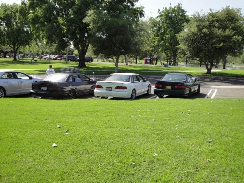 1995 Ford Taurus - Several sedans are parked in a grassy area with trees in the background.