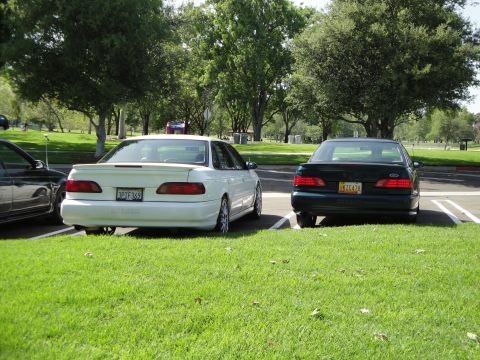 1995 Ford Taurus - Two sedans, a white 1995 Ford Taurus and a dark green sedan, are parked on a grassy area.