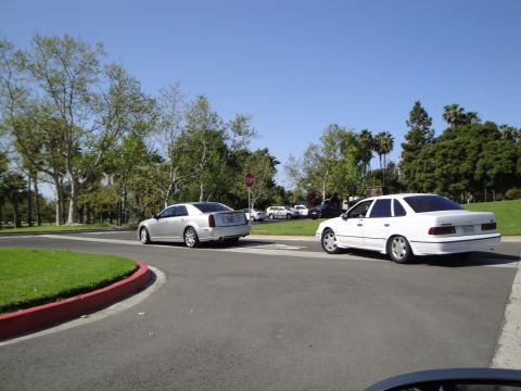 1995 Ford Taurus - A white sedan is seen from the rear, driving on a road with trees and other vehicles in the background.