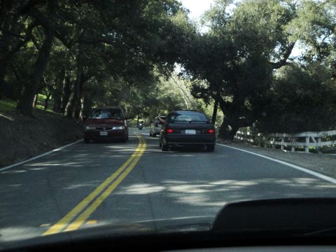 1995 Ford Taurus - A 1995 Ford Taurus is seen from behind on a tree-lined road.