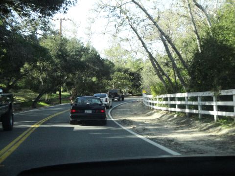 1995 Ford Taurus - A black 1995 Ford Taurus is seen from behind, driving on a road surrounded by trees and a white fence.