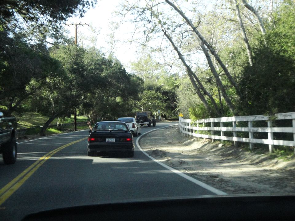 Rear view of a black 1995 Ford Taurus driving on a tree-lined road