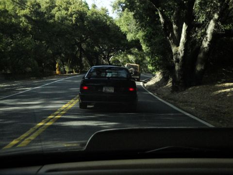 1995 Ford Taurus - Driving behind a black 1995 Ford Taurus on a scenic, tree-lined road with another vehicle in front.