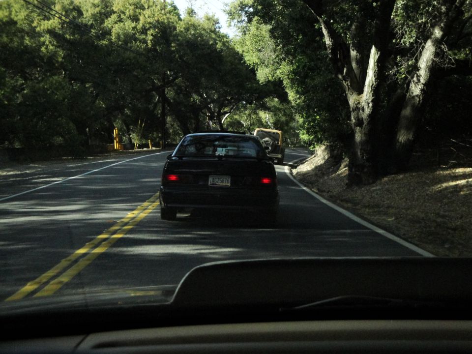 1995 Ford Taurus driving on a road with trees on both sides. Another vehicle is ahead