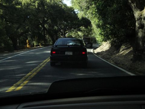 1995 Ford Taurus - A black sedan is seen from behind while driving on a road surrounded by trees.