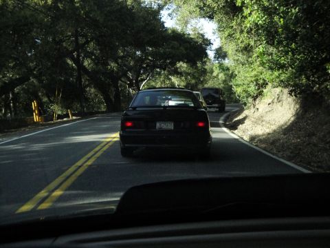 1995 Ford Taurus - A black sedan drives on a tree-lined road, followed by another vehicle.