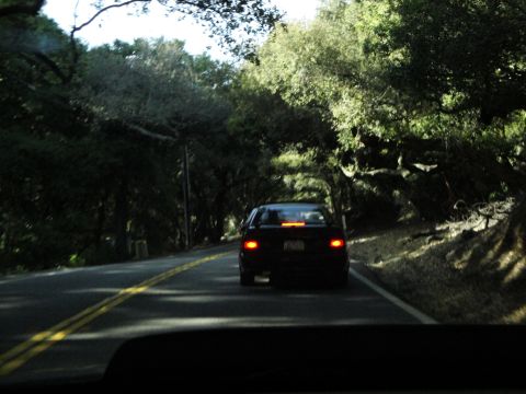 1995 Ford Taurus - A black 1995 Ford Taurus drives down a road shaded by trees.