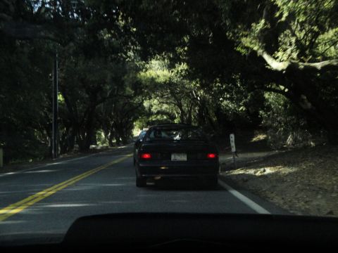 1995 Ford Taurus - A black sedan is seen from behind driving on a road bordered by trees.