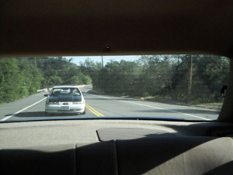 1995 Ford Taurus - A white Ford Taurus with a dark hood drives on a road surrounded by trees.