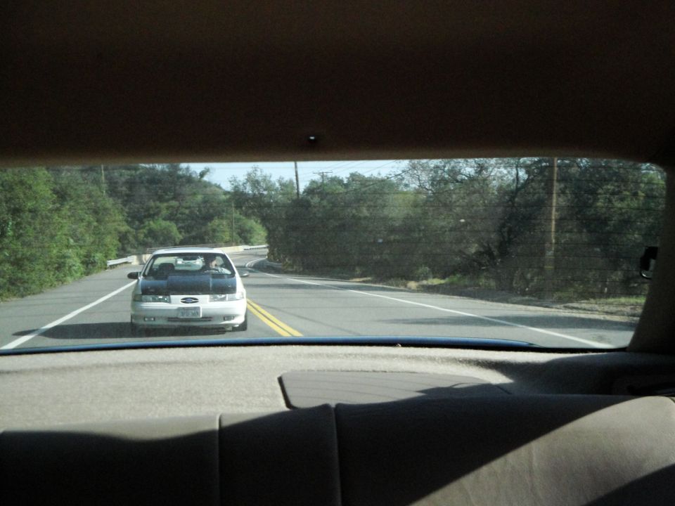 White Ford Taurus with a dark hood, seen from behind on a two-lane road
