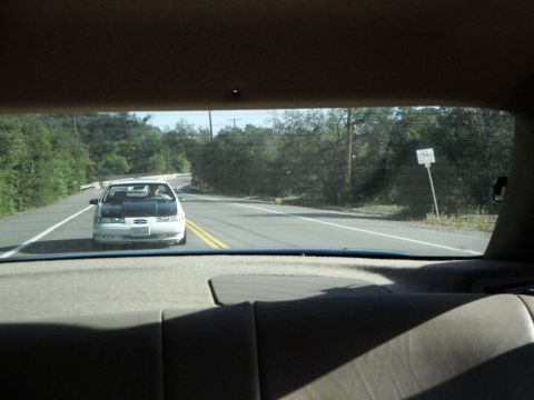 1995 Ford Taurus - A 1995 Ford Taurus is seen from behind, driving on a two-lane road with trees lining the sides.