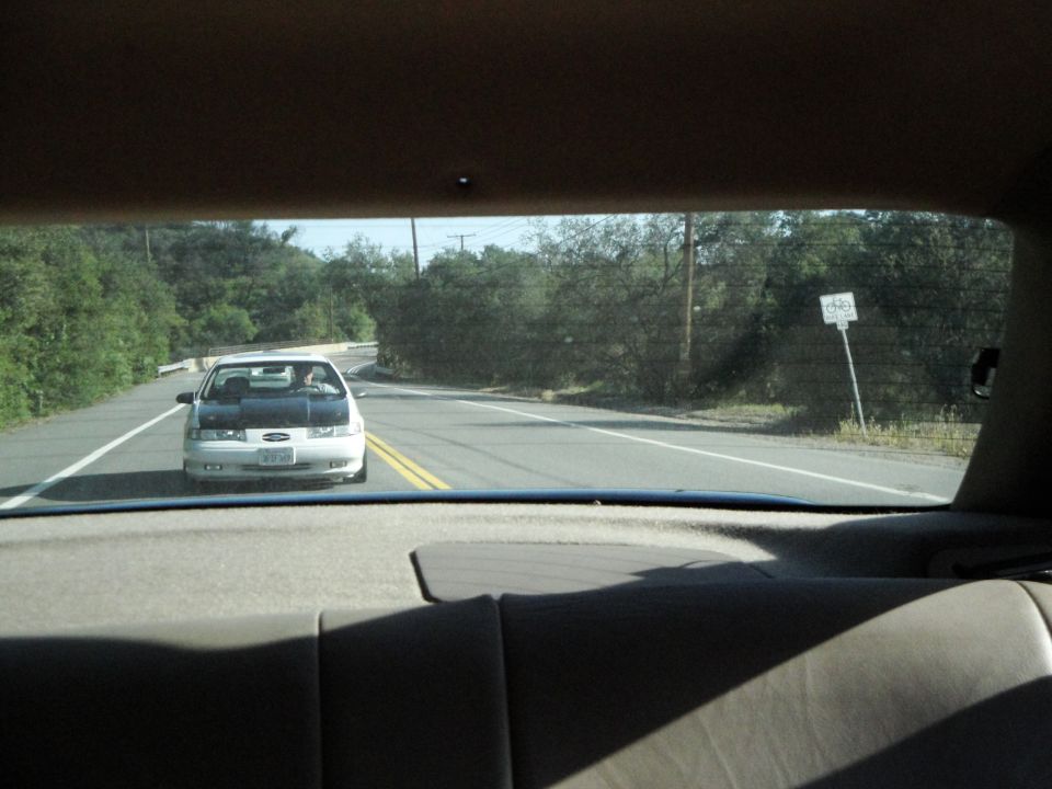 1995 Ford Taurus front view, white with black hood