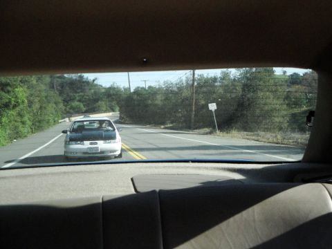 1995 Ford Taurus - View from inside a car looking at a white 1995 Ford Taurus ahead on the road ahead.