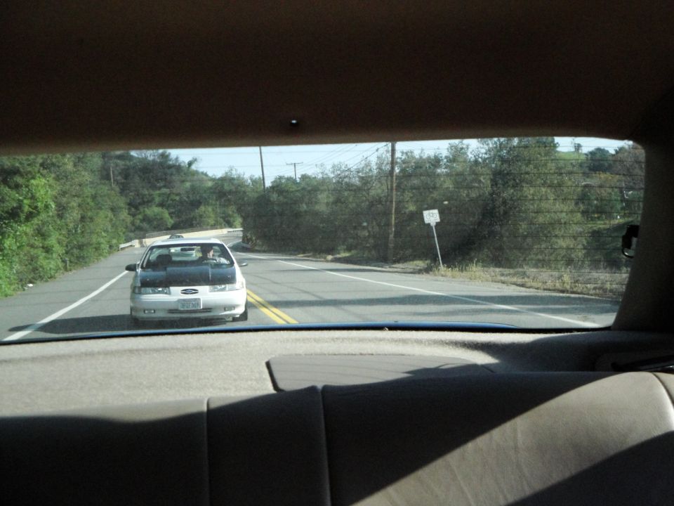 1995 Ford Taurus driving on a two-lane road with trees on the side