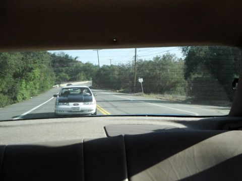 1995 Ford Taurus - A white sedan with a contrasting dark hood is seen from behind on a rural road.