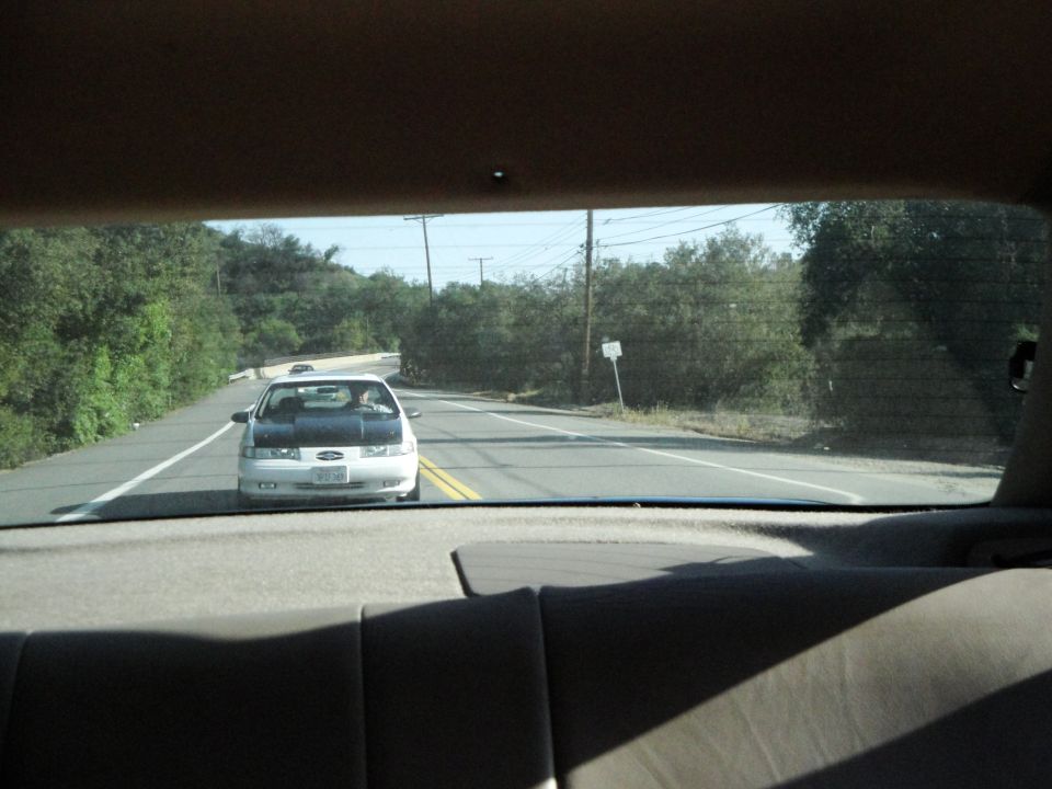 White sedan with a dark hood driving on a two-lane road with trees on the side