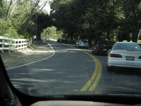 1995 Ford Taurus - A 1995 Ford Taurus sedan is seen from the rear, traveling on a two-lane road bordered by trees and a white fence.