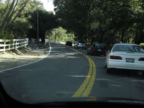 1995 Ford Taurus - A white sedan with a license plate reading '3PTF369' is in the foreground on a tree-lined road.