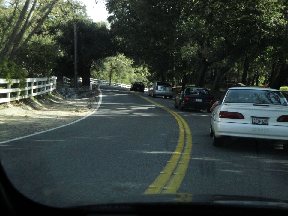 Several cars drive down a two-lane road with a white fence on the left and trees on both sides