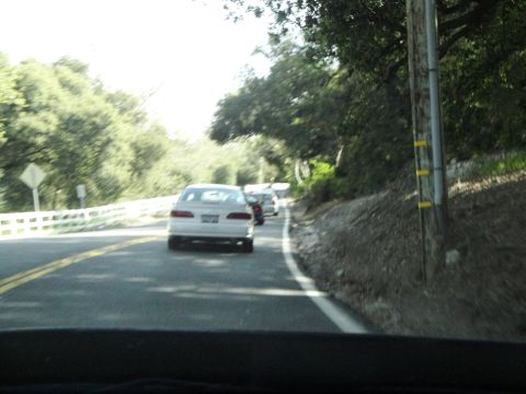 1995 Ford Taurus - Multiple vehicles travel along a tree-lined road on a sunny day.
