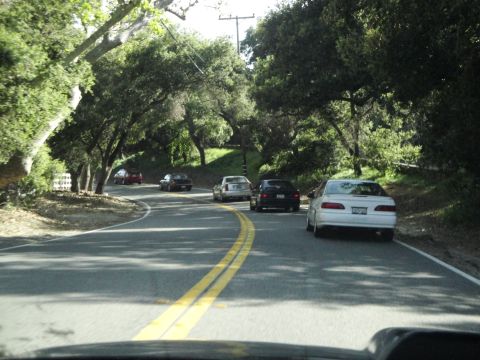 1995 Ford Taurus - A line of cars travels down a winding road surrounded by lush green trees.