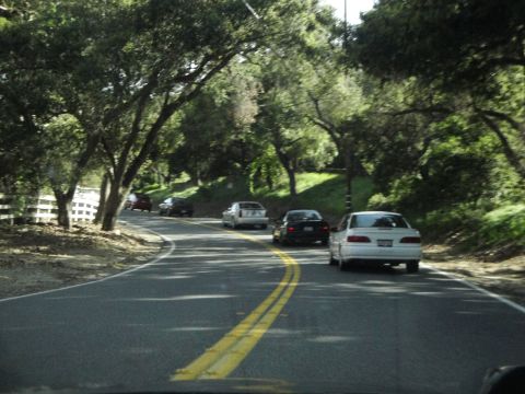 1995 Ford Taurus - Multiple vehicles travel along a winding road bordered by trees and foliage.