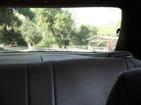 1995 Ford Taurus - Looking out the rear window of a car at a rural road scene with trees and a structure in the distance.