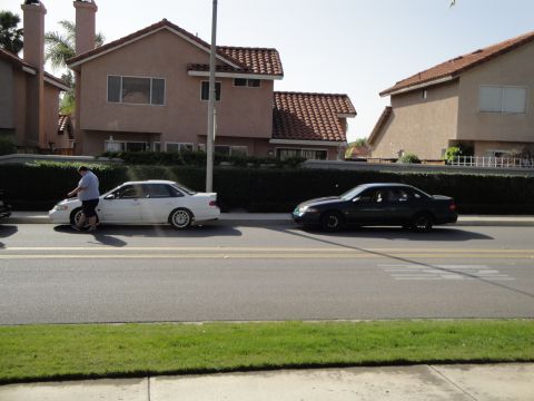 1995 Ford Taurus - Two sedans, one white and one dark, are parked on the side of a street.