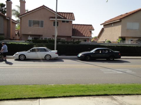 1995 Ford Taurus - Two sedans are parked on a street in front of houses, one white and one dark colored.
